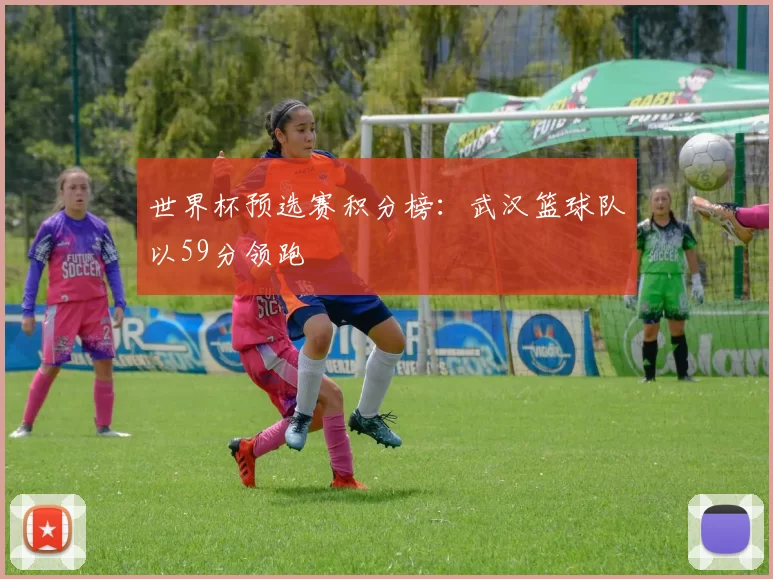 世界杯预选赛积分榜：武汉篮球队以59分领跑
