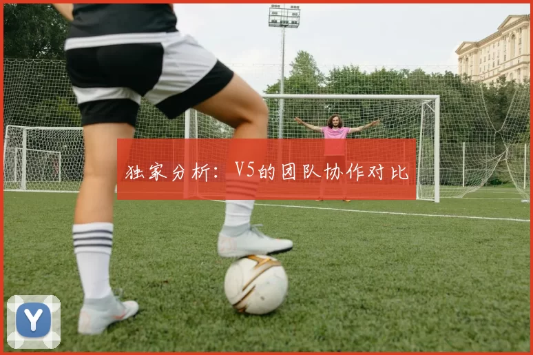 独家分析：V5的团队协作对比