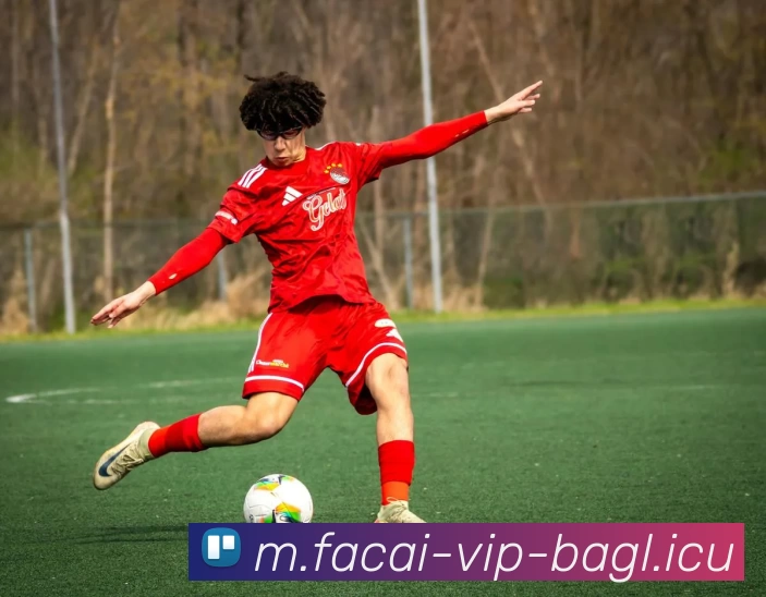 华体会体育注册平台生态图