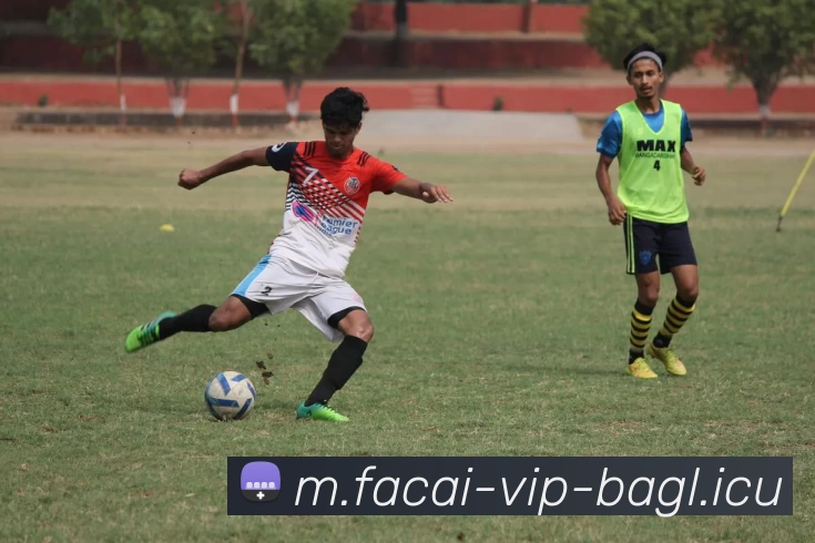 华体会体育注册全站App